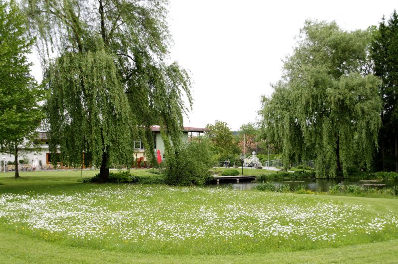 bild13.jpg