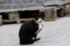 bild20_small.jpg