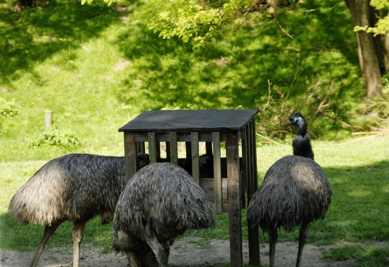 bild34.jpg