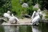 bild46_small.jpg