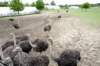 bild8_small.jpg
